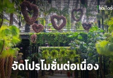 สวนนงนุชพัทยา จัดโปรโมชั่นต่อเนื่อง เข้าฟรีสำหรับคนเกิดเดือนธันวาคม