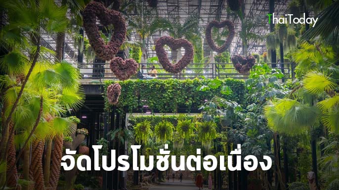สวนนงนุชพัทยา จัดโปรโมชั่นต่อเนื่อง เข้าฟรีสำหรับคนเกิดเดือนธันวาคม